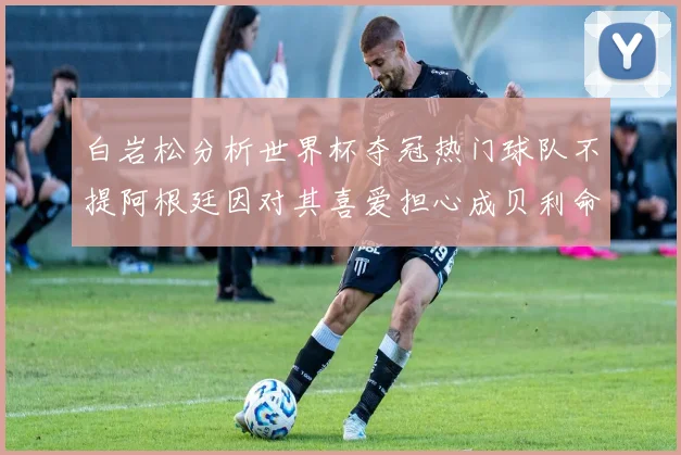 白岩松分析世界杯夺冠热门球队不提阿根廷因对其喜爱担心成贝利命运