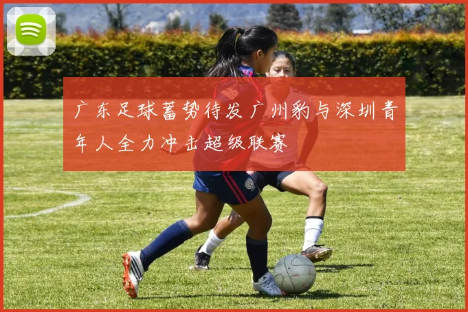 广东足球蓄势待发广州豹与深圳青年人全力冲击超级联赛