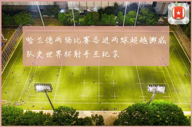 哈兰德两场比赛各进两球超越挪威队史世界杯射手王纪录